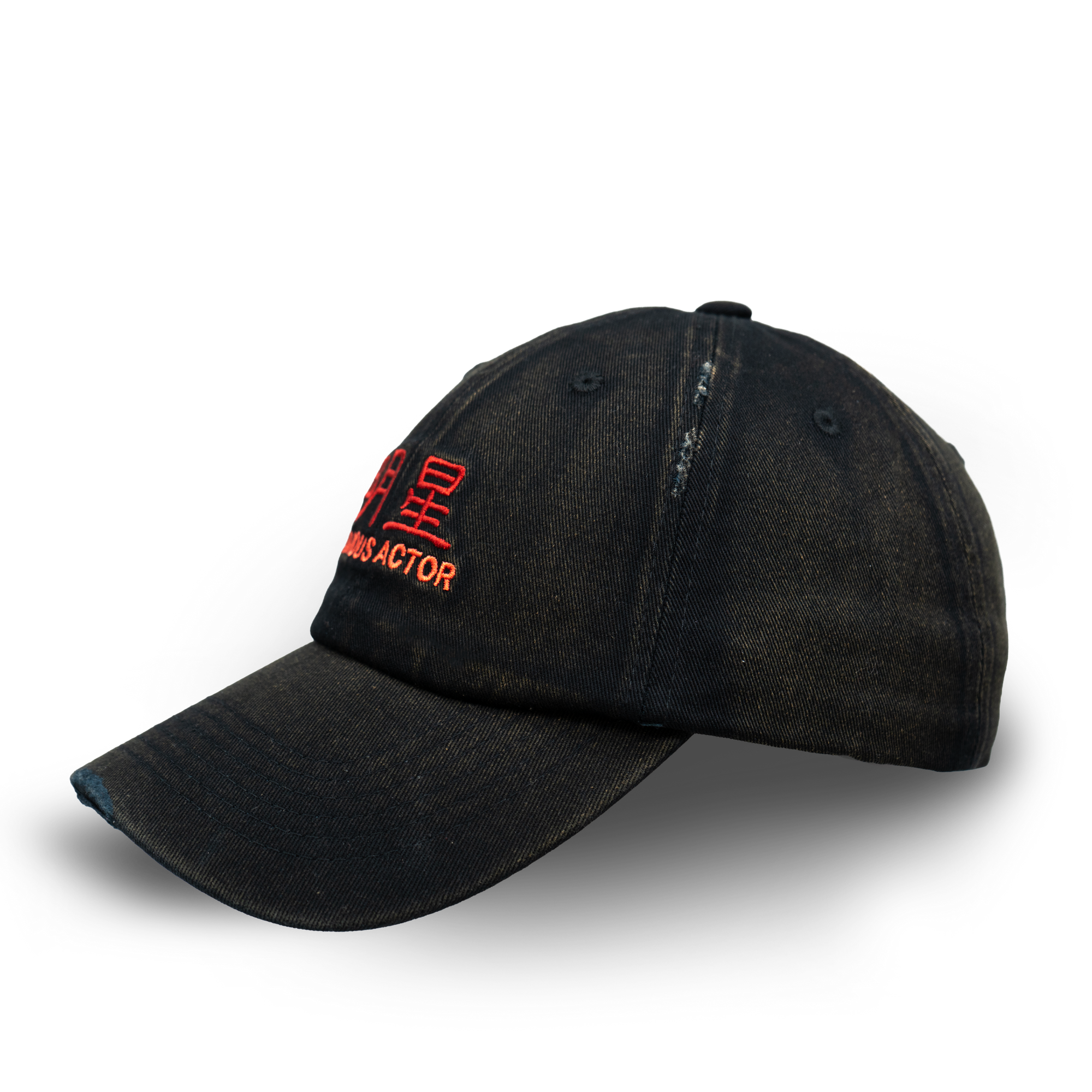 CHINESE FAMOUS ACTOR CAP